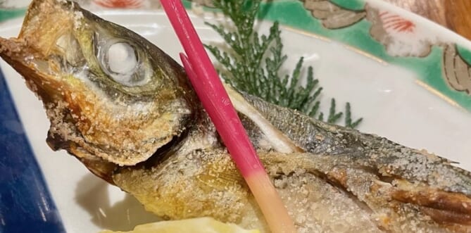 釣船茶屋　ざうお