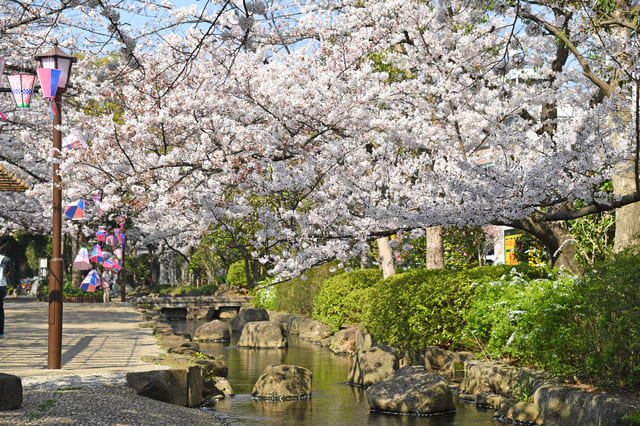 小松川境川親水公園