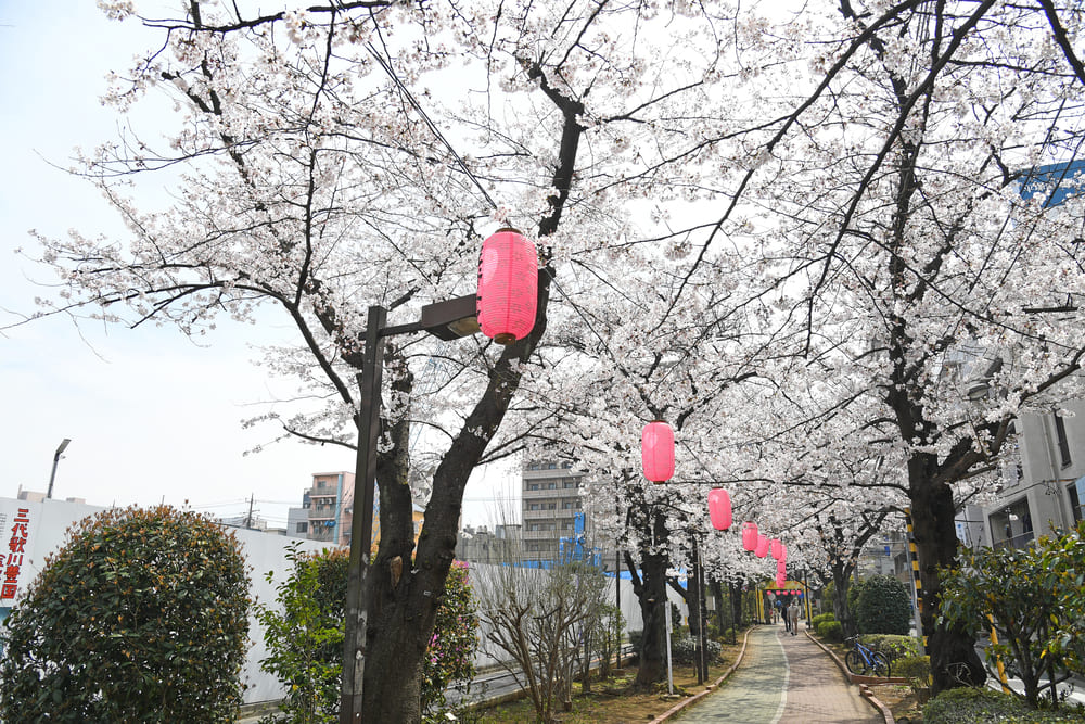 亀戸緑道公園