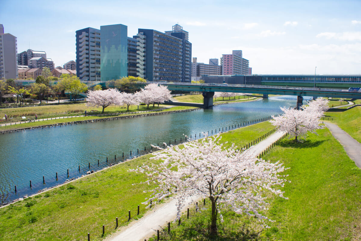 大島小松川公園