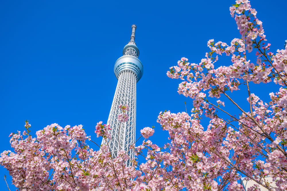 東京スカイツリー