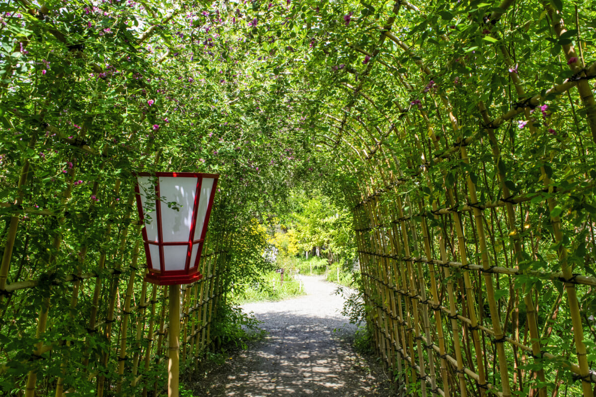 向島百花園